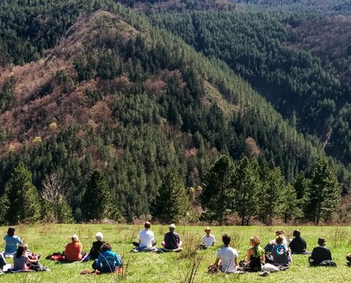 Formation Yoga Nidra