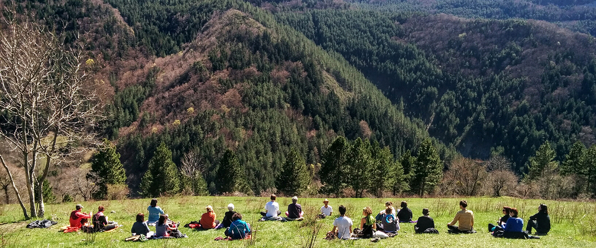 formation en yoga nidra